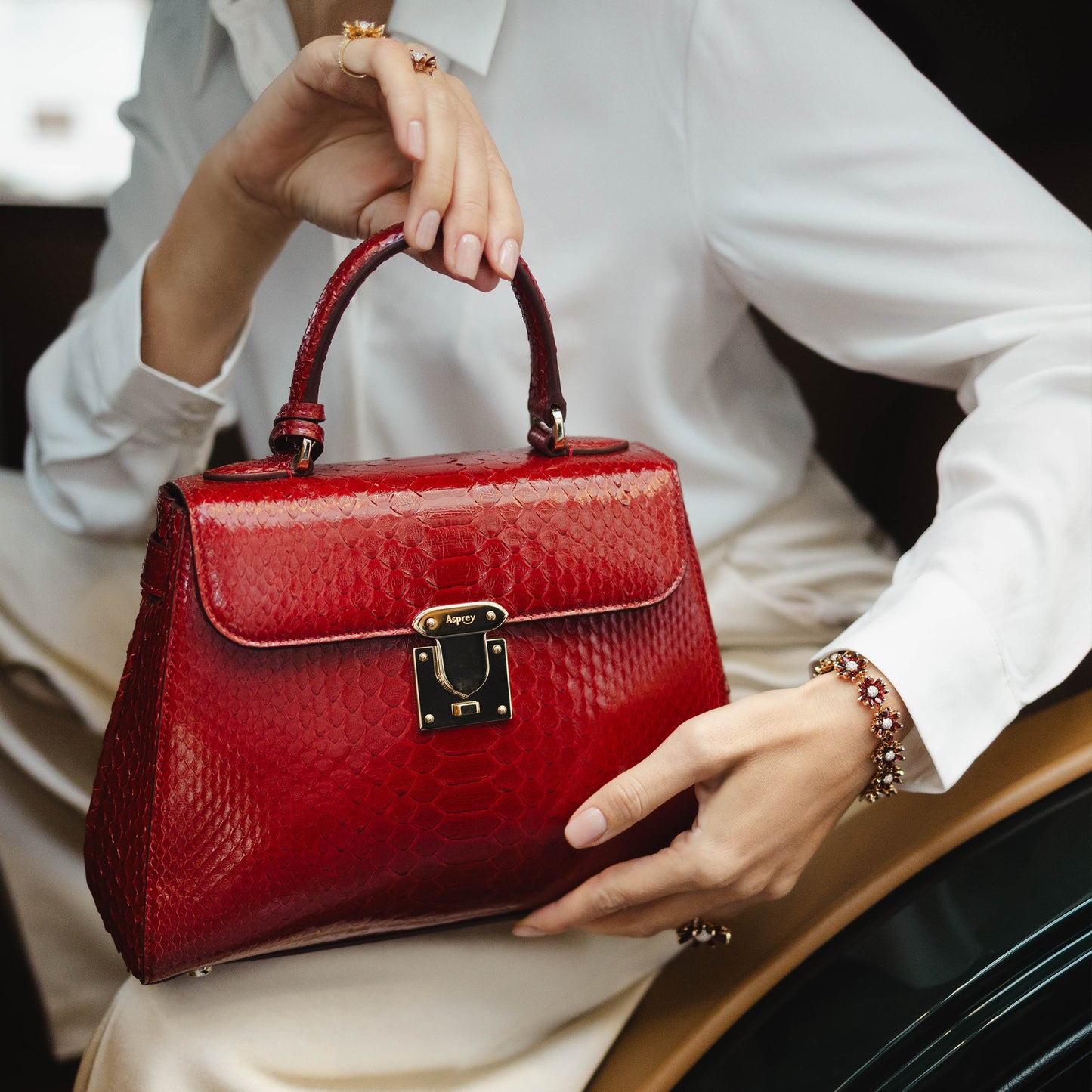 167 Small Handbag in Python