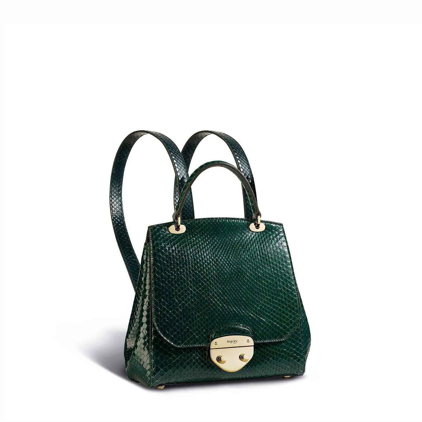 Belle Backpack in Python