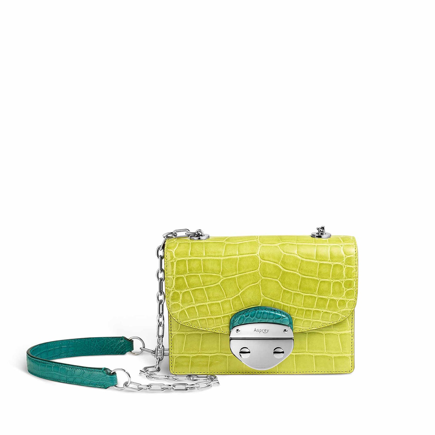 Morgan Small Handbag in Crocodile