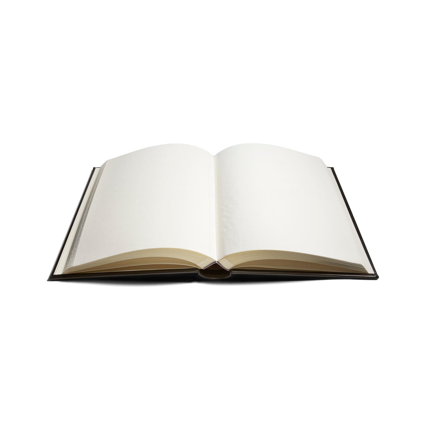 ハノーバーアルバム サドルレザー 12インチ x 10インチ