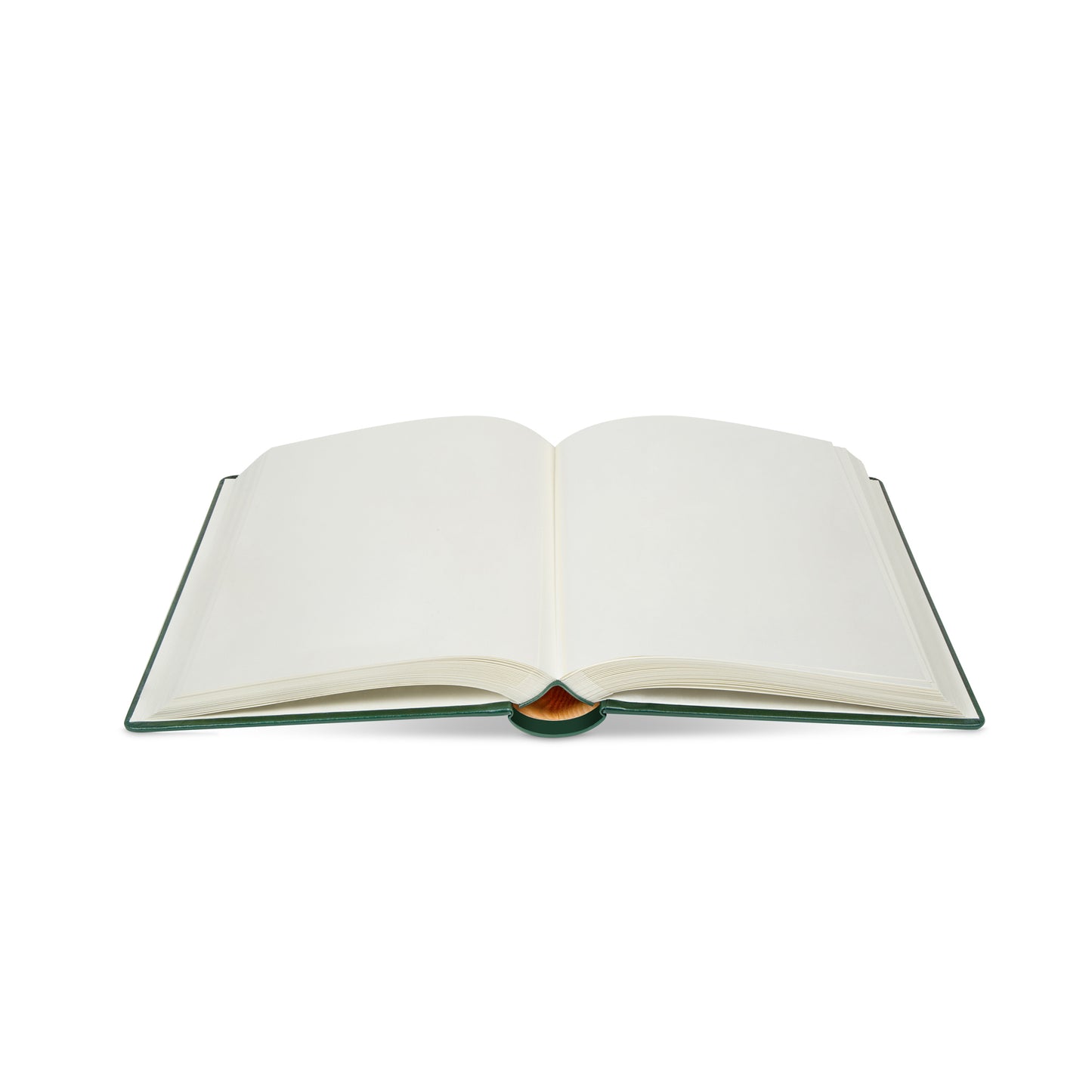 Hanover Album in Saddle Leather 12" x 10"