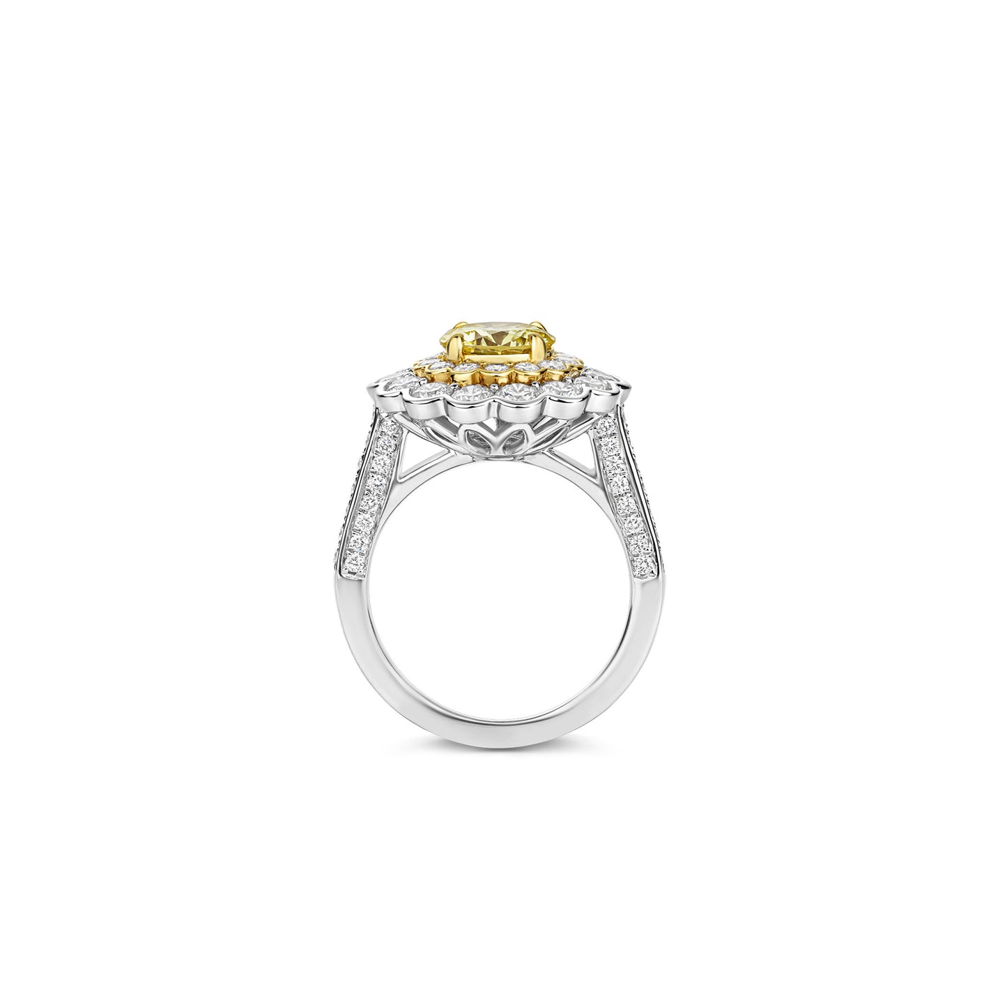 Round Brilliant-Cut Yellow Diamond Ring in Platinum and 18ct Yellow Gold with Diamonds