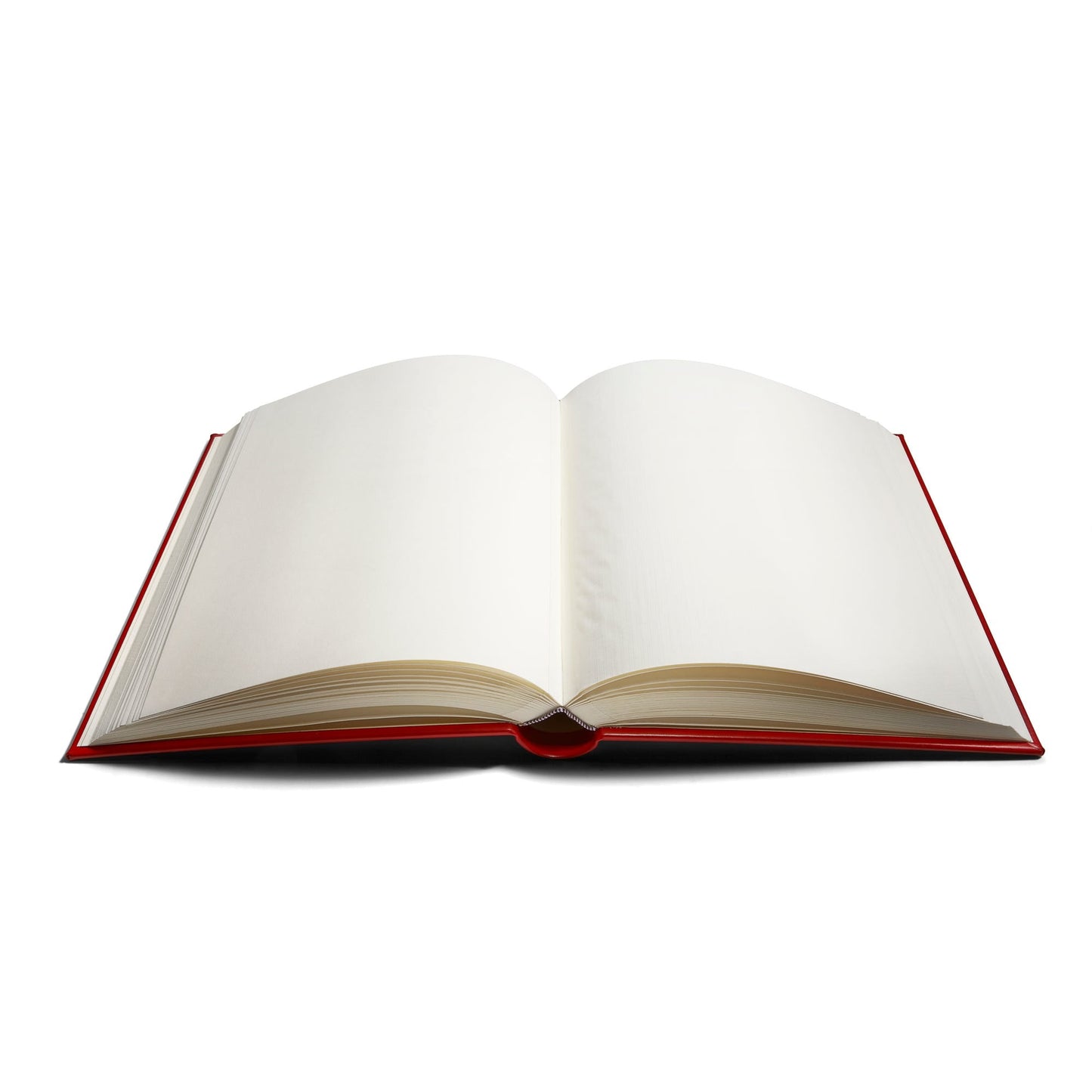 ハノーバーアルバム サドルレザー 12インチ x 10インチ