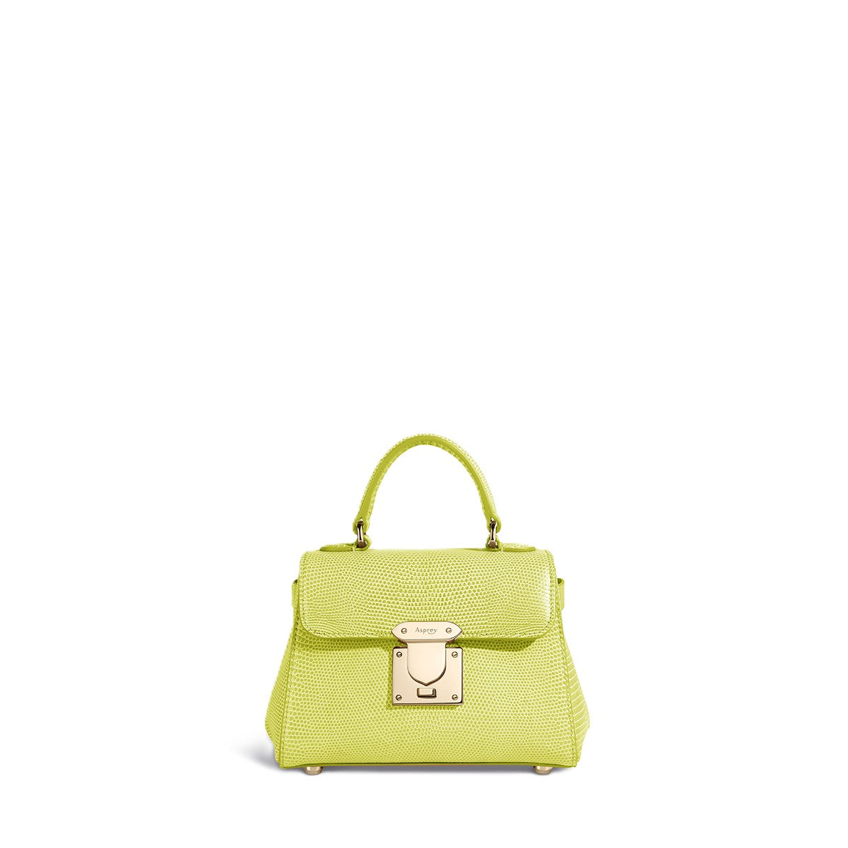 167 Micro Mini Handbag in Lizard