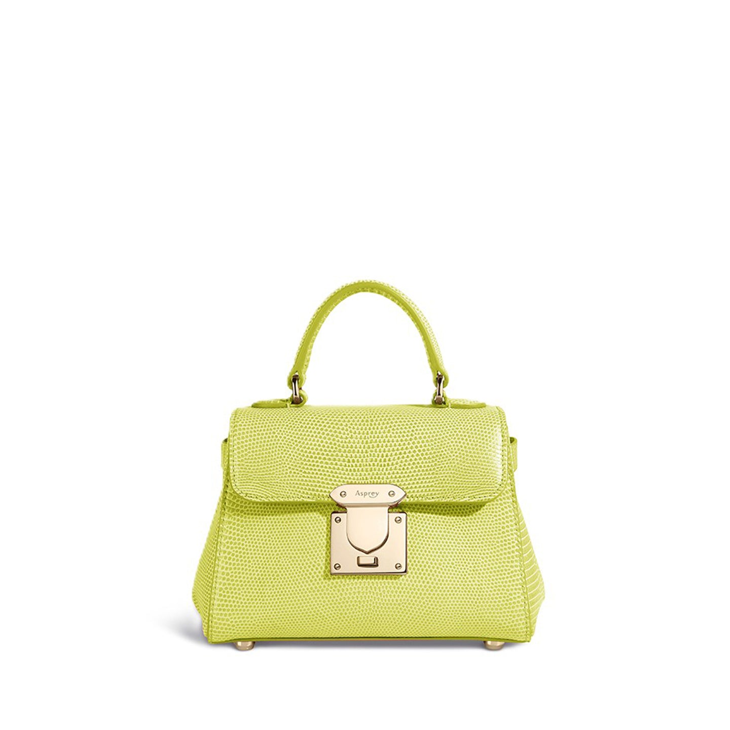167 Micro Mini Handbag in Lizard