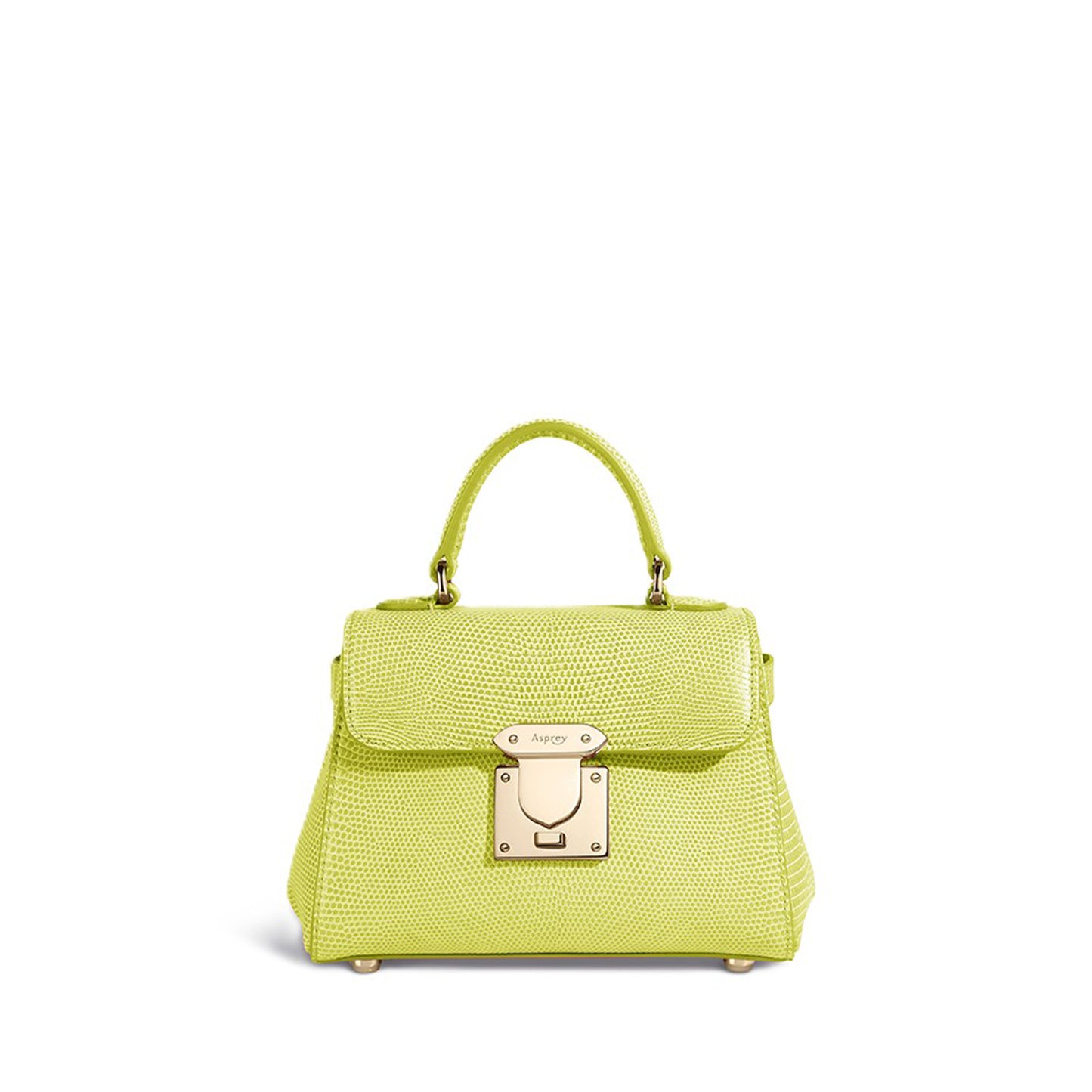 167 Micro Mini Handbag in Lizard