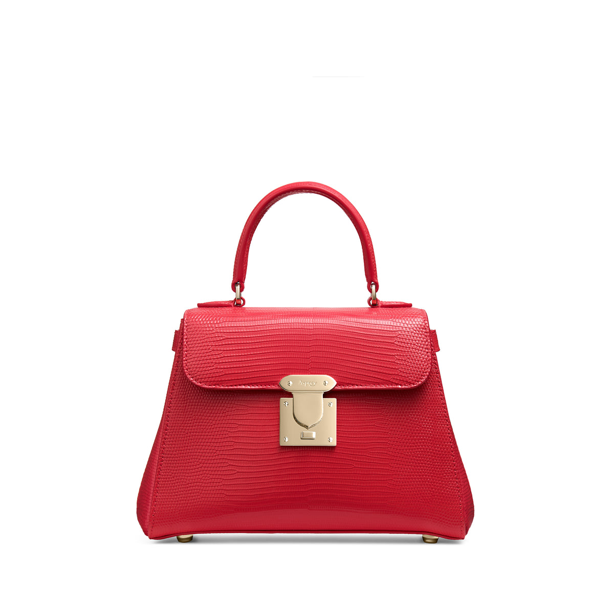 167 Mini Handbag in Lizard