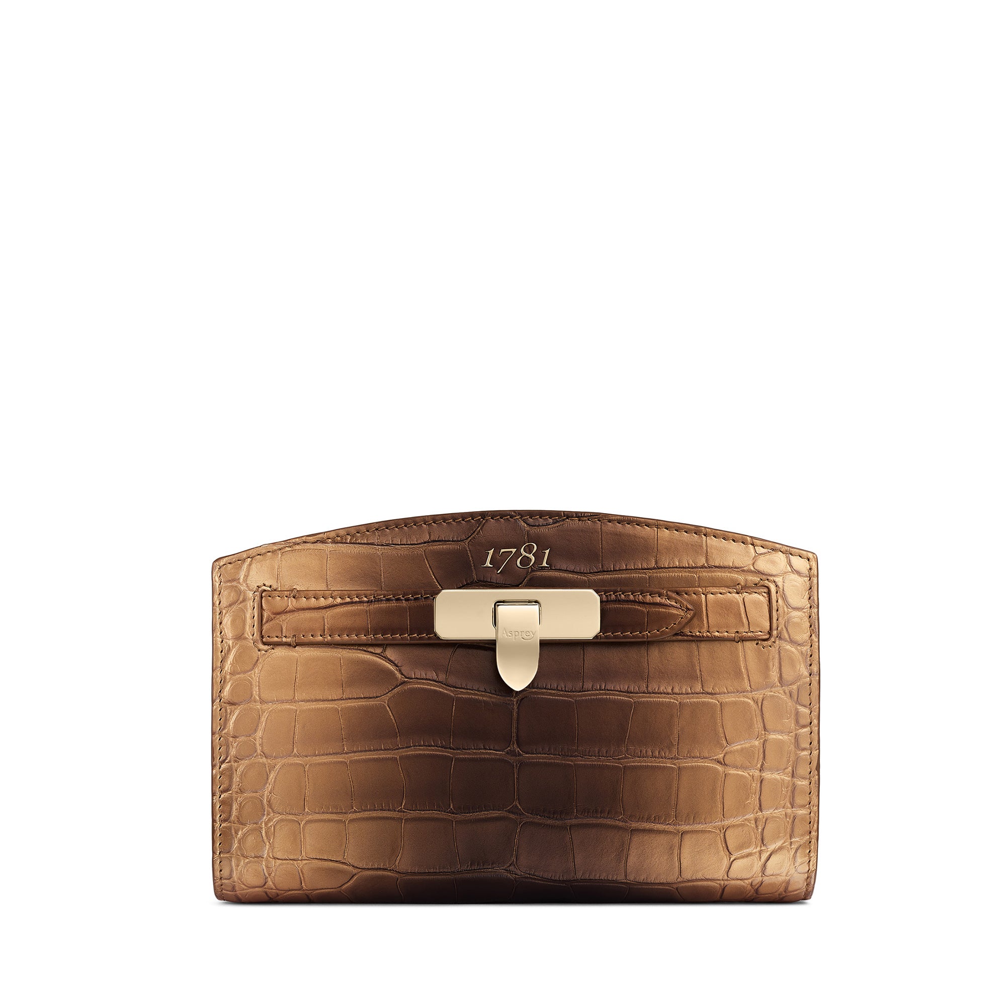 良品✨Asprey ハンドバッグ キャンバス レザー ブラウン パンチングロゴ シップス SHIPS Boldrini Selleria: レザー トートバッグ （ブラック