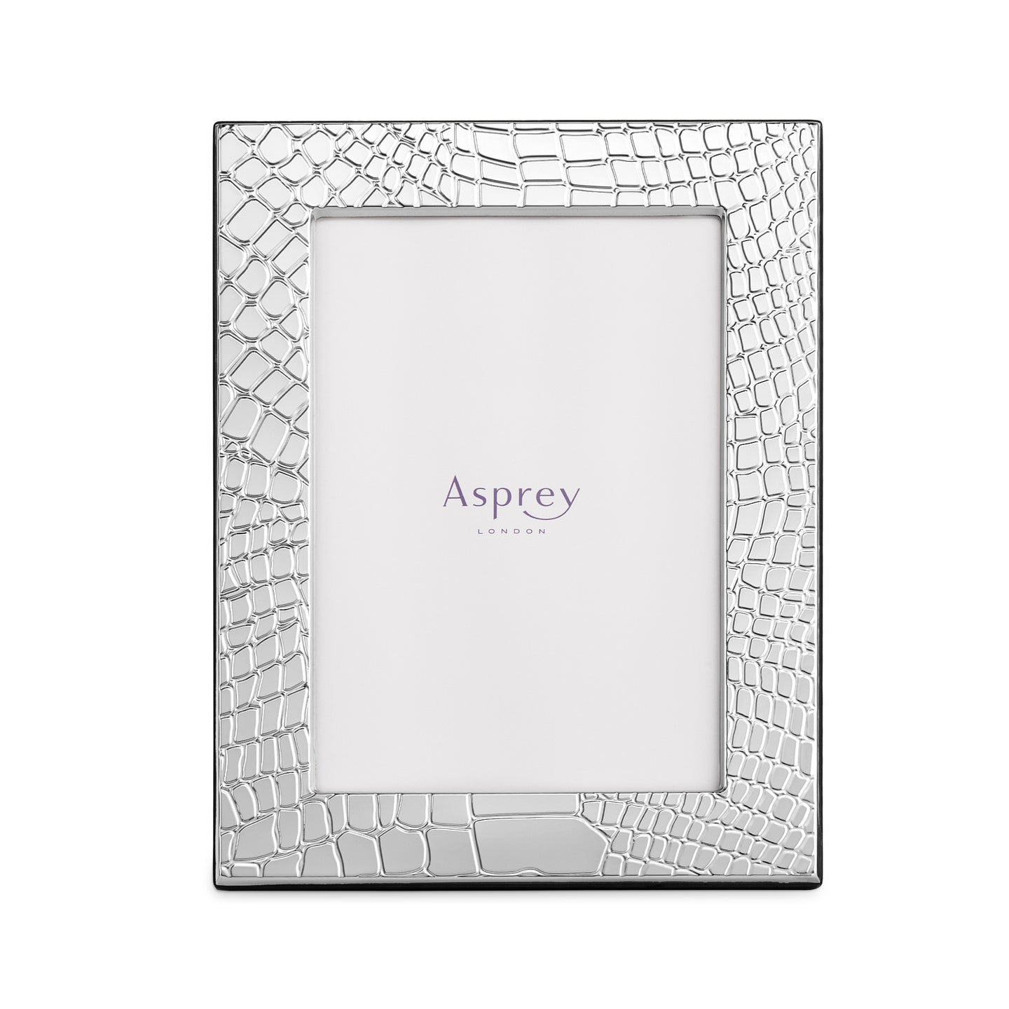 Croc Frame in Sterling Silver