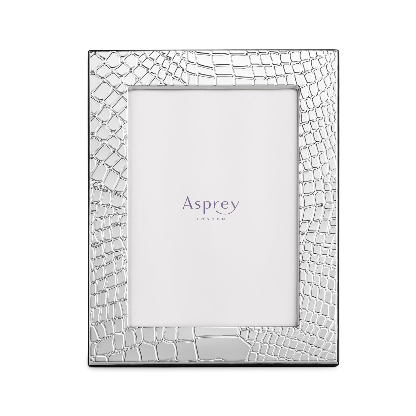 Croc Frame in Sterling Silver
