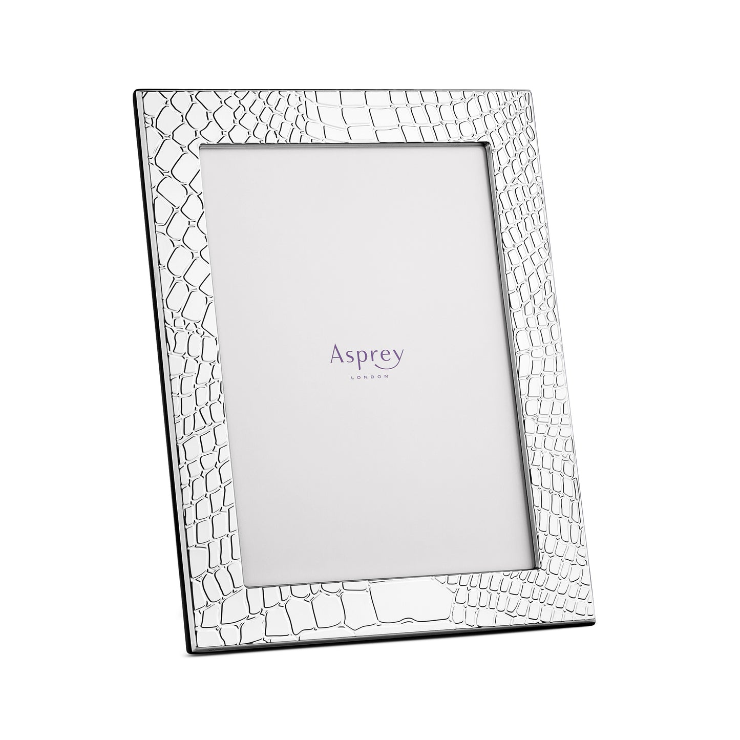 Croc Frame in Sterling Silver