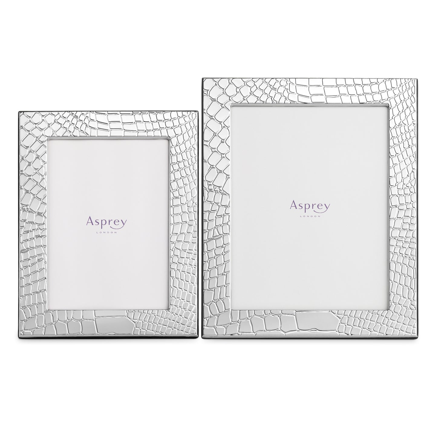 Croc Frame in Sterling Silver