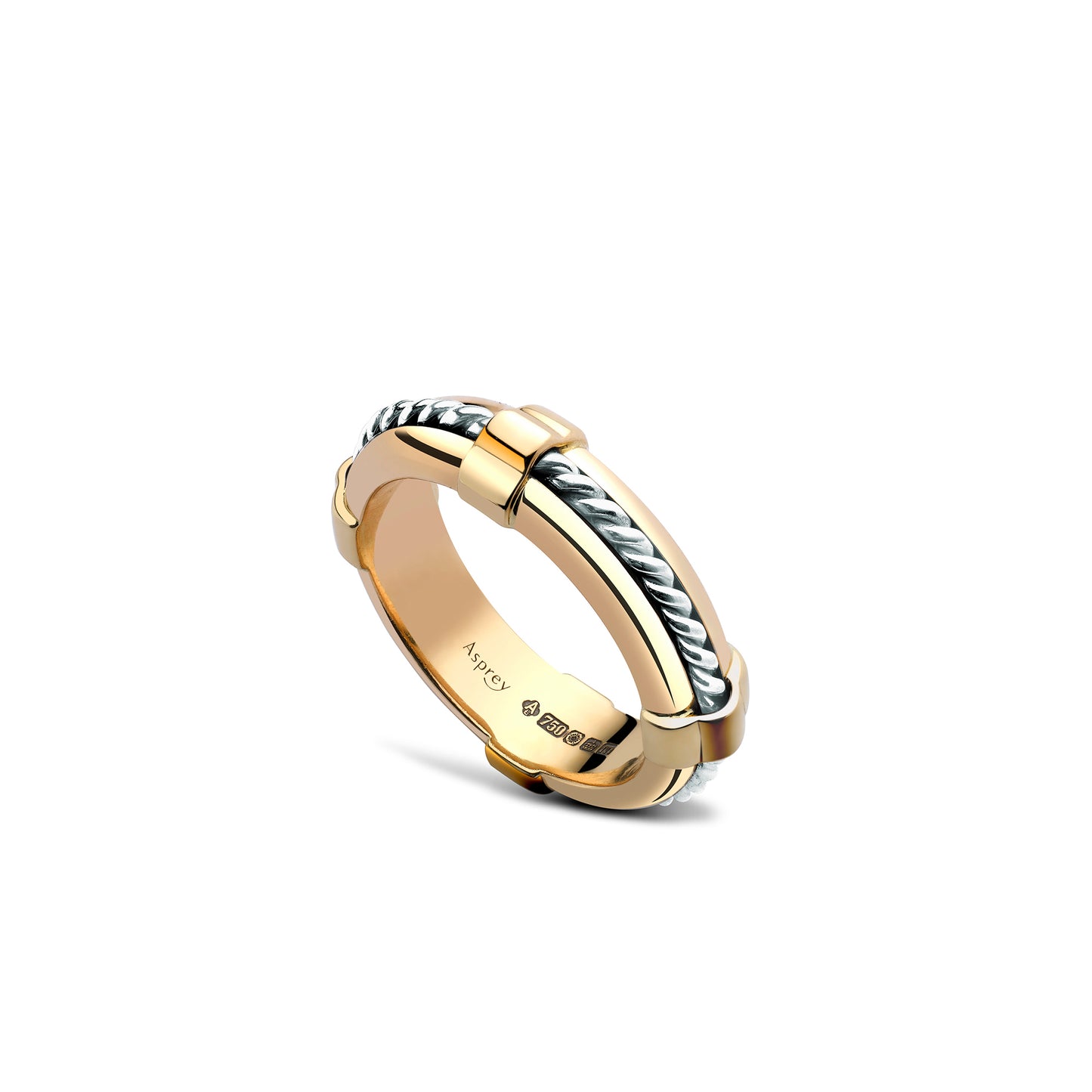Life Ring in 18ct Yellow & White Gold