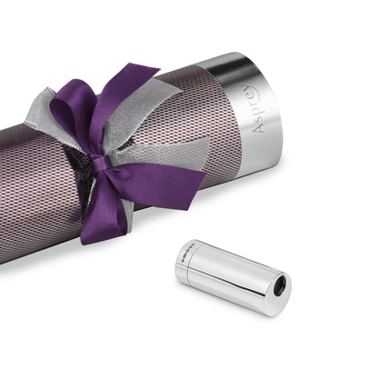 Christmas Cracker with Sterling Silver Pencil Sharpener