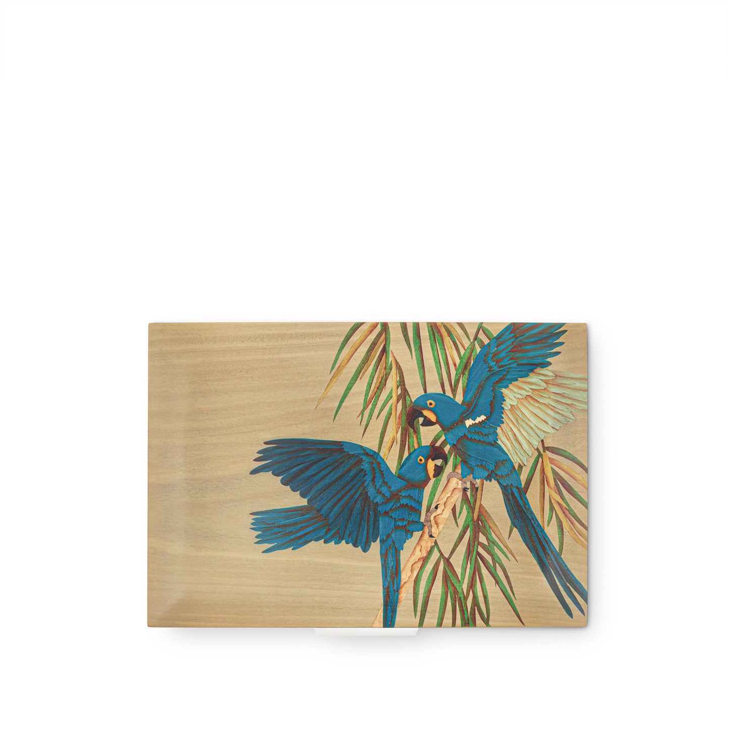 Parrot Marquetry Box in Wood & Sterling Silver
