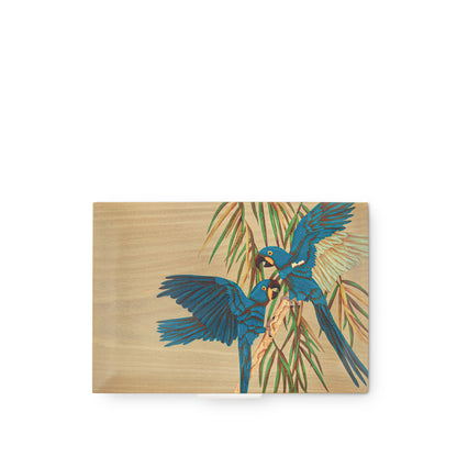 Parrot Marquetry Box in Wood & Sterling Silver