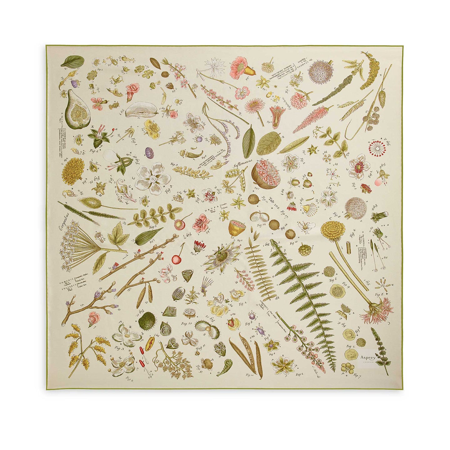 Botanical Silk Scarf