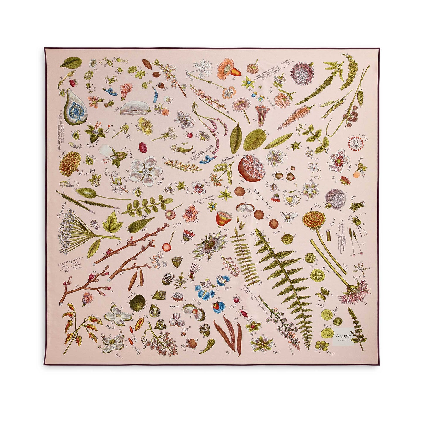 Botanical Silk Scarf